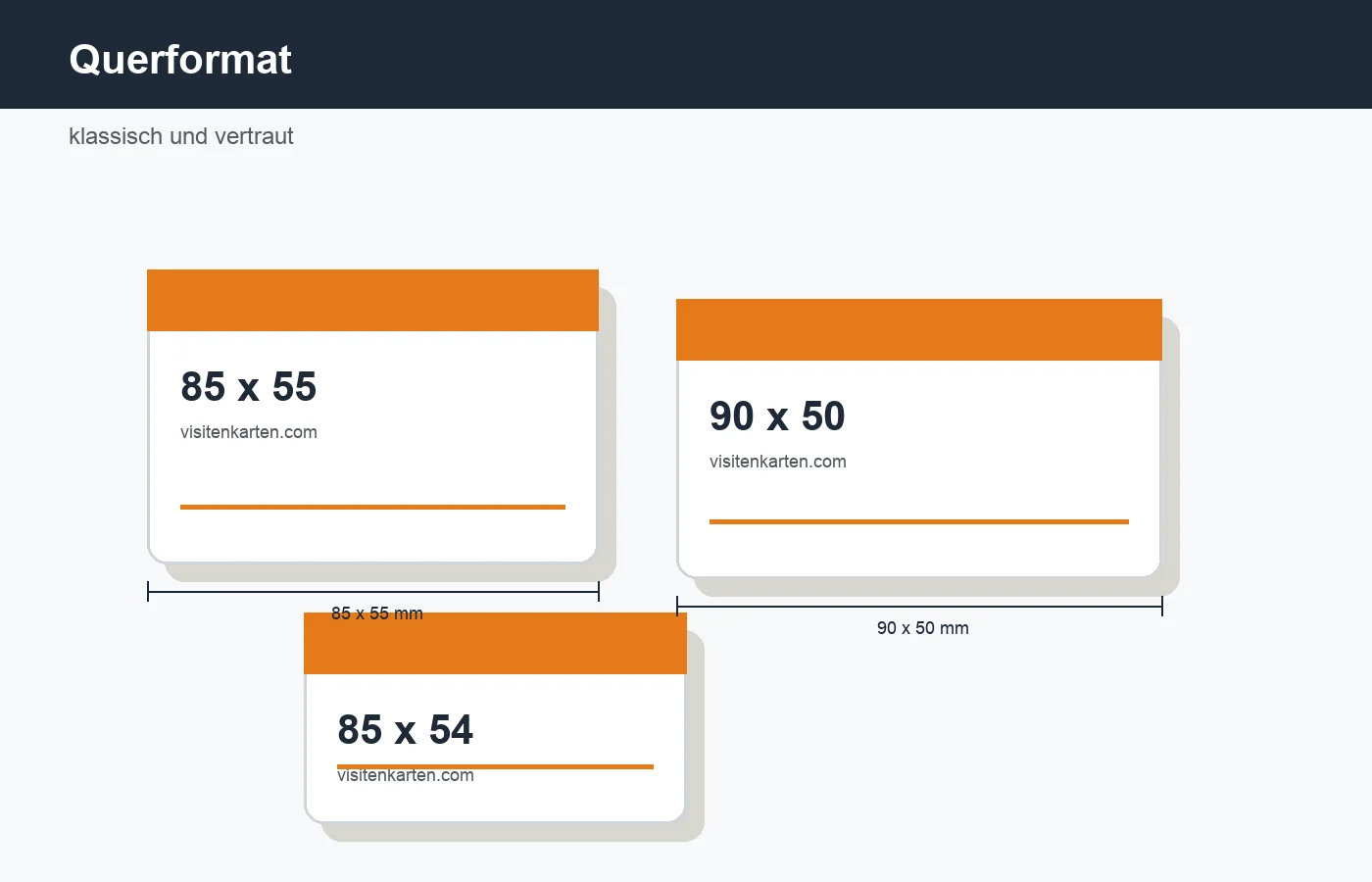 Querformat Visitenkarte mit klassischem Business Layout